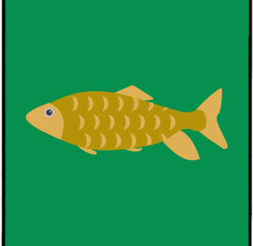 Pesce – genealogia del cognome