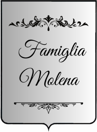 Molena - genealogia del cognome